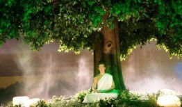 菩提树下在线观看,探寻禅宗智慧，在线感悟人生真谛