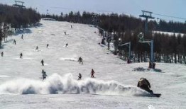 滑雪场死人爆料案件最新