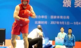 武术散打视频在线观看,在线视频教学解析