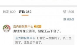 娱乐爆料张紫宁,揭秘明星背后的故事