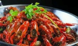 红军龙虾爆料视频完整版,视频完整版深度解析