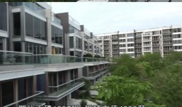 朋友曾经吃瓜网红toy,一场吃瓜盛宴背后的故事